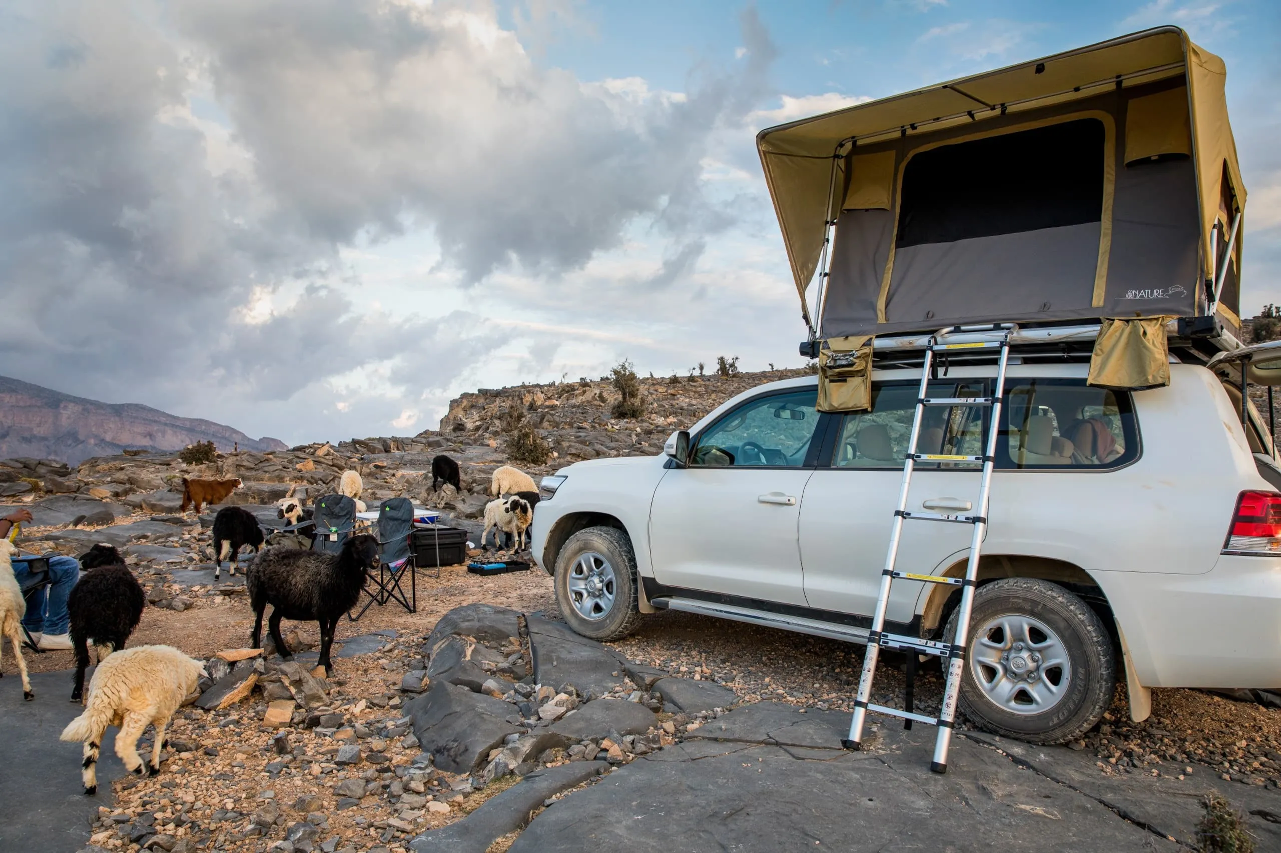 Rooftop Landcruiser Reis Oman